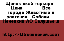 Щенок скай терьера › Цена ­ 20 000 - Все города Животные и растения » Собаки   . Ненецкий АО,Белушье д.